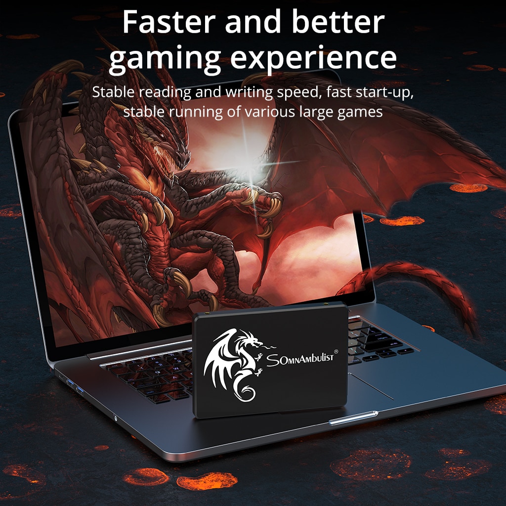 SomnAmbulist SSD 120GB 240GB 4 - Ssd Hard Drive incelemesi ve fiyatı